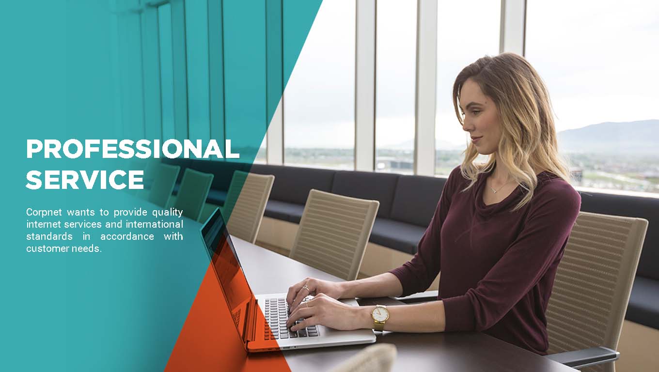 Professional Service